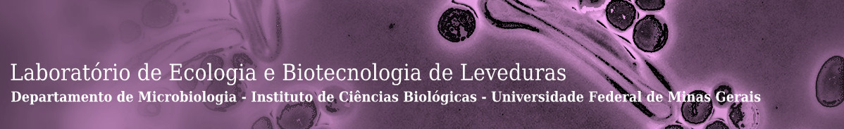 Laboratrio de Ecologia e Biotecnologia de Leveduras - ICB - UFMG